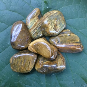 Lionskin (Nelite) Tumbled